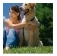 Canine Website.jpg